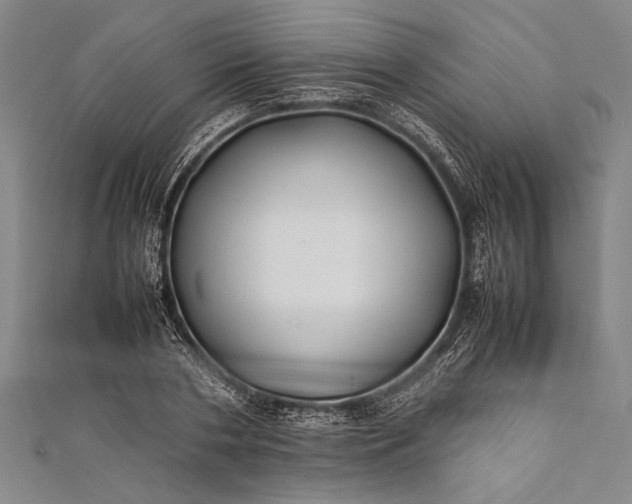 X0000112370786200908271317