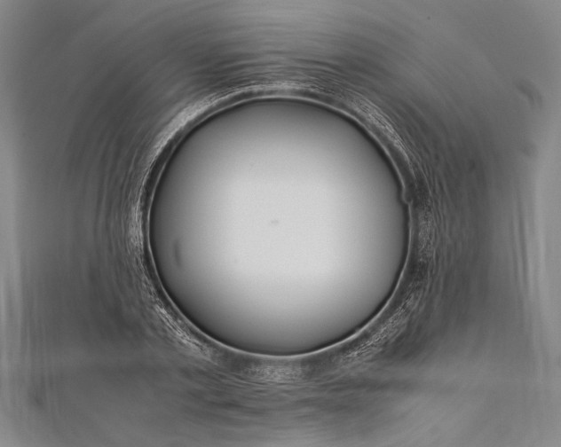 X0000112370789200908271317