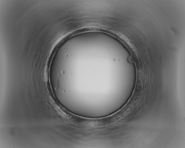 X0000112370791200908271317