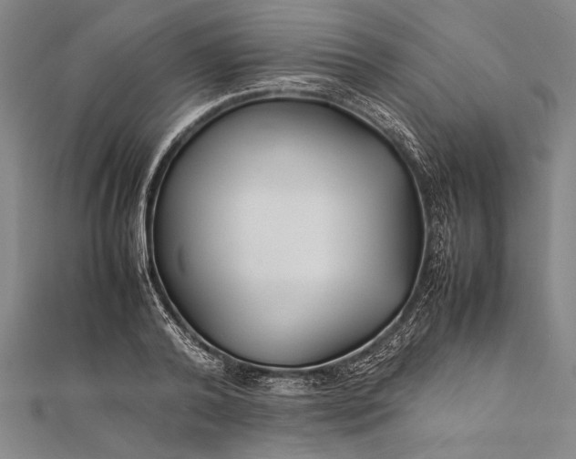 X0000112370792200908271317