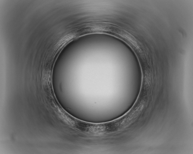 X0000112370793200908271317