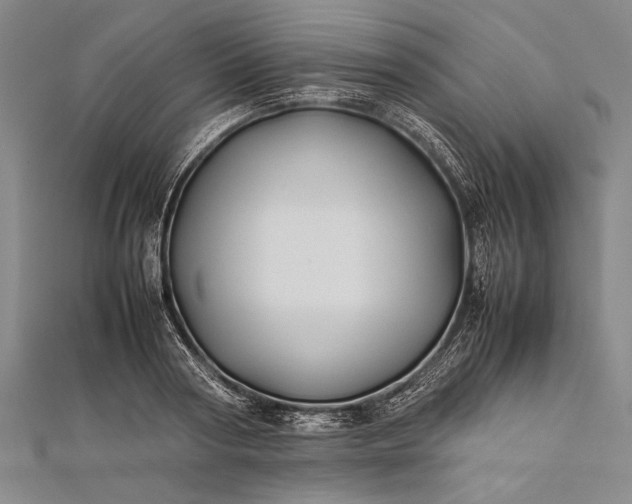 X0000112370794200908271317