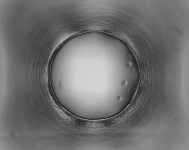 X0000112370795200908271317