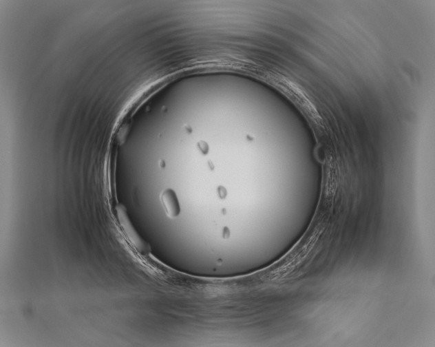 X0000112370796200908271317