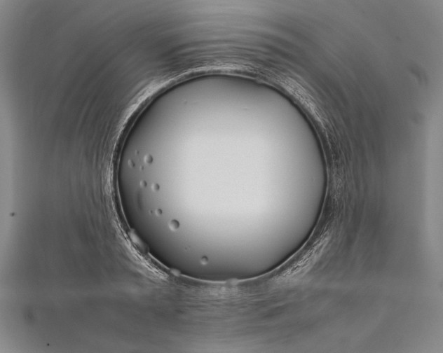 X0000112370797200908271317