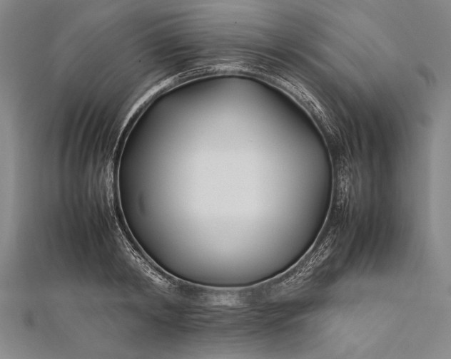 X0000112370798200908271317