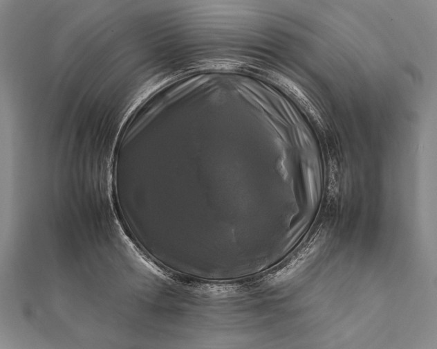 X0000112370802200908271317