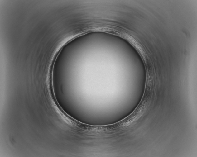 X0000112370803200908271317