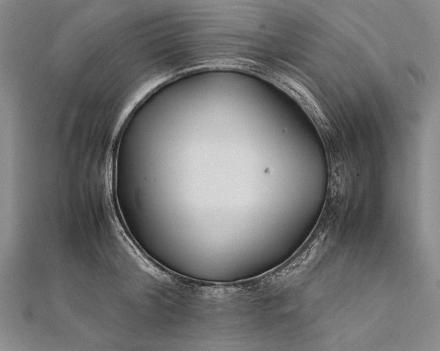 X0000112370804200908271317