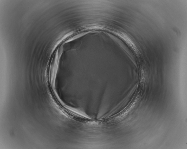 X0000112370806200908271317