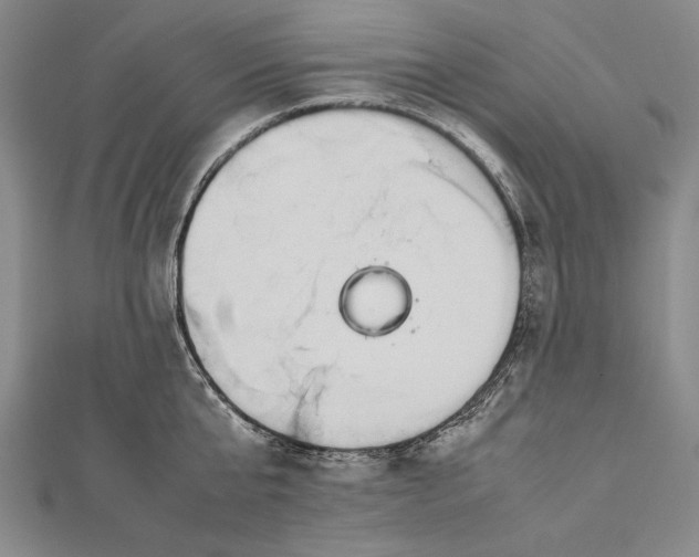 X0000112370807200908271317