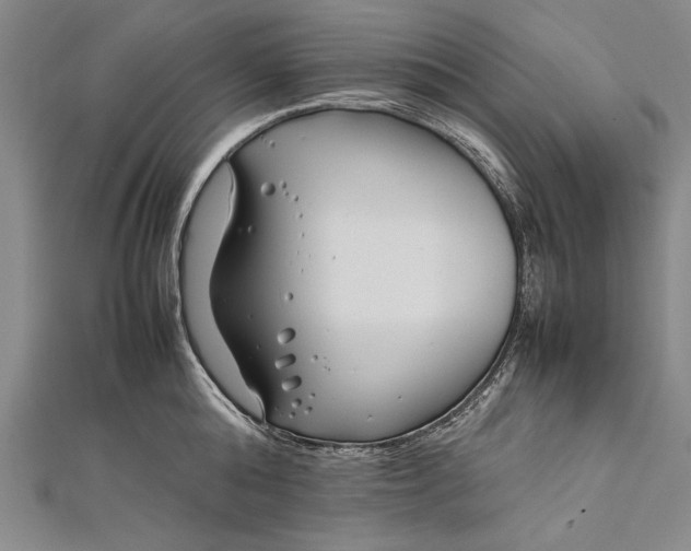 X0000112370808200908271317