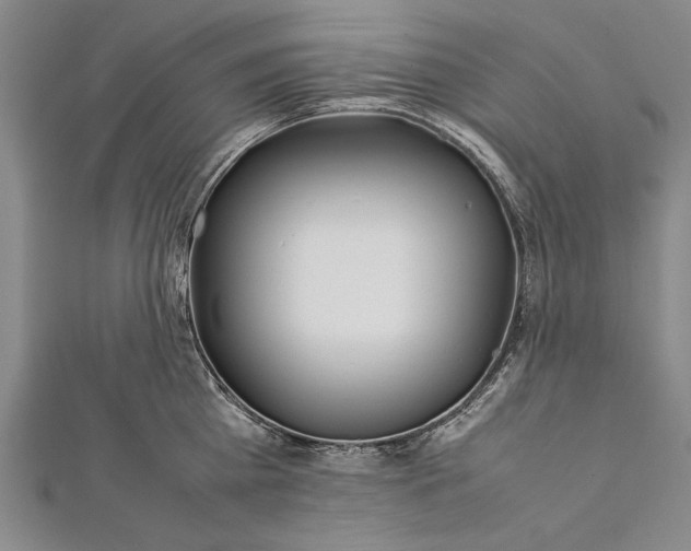 X0000112370809200908271317