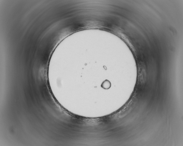 X0000112370810200908271317