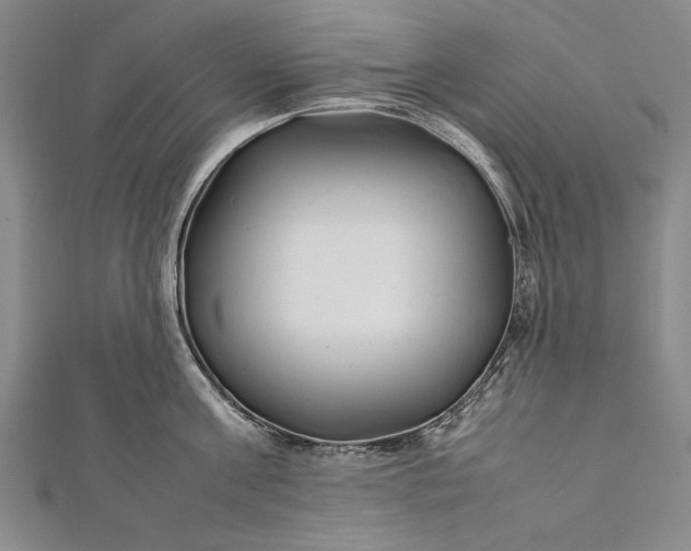 X0000112370811200908271317