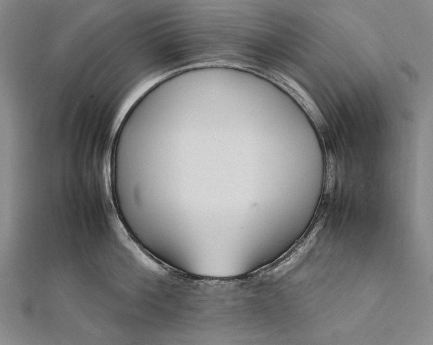 X0000112370812200908271317