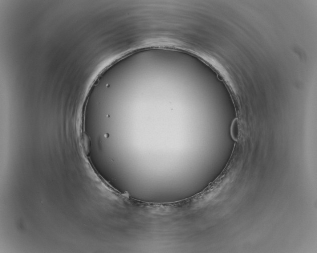 X0000112370815200908271317