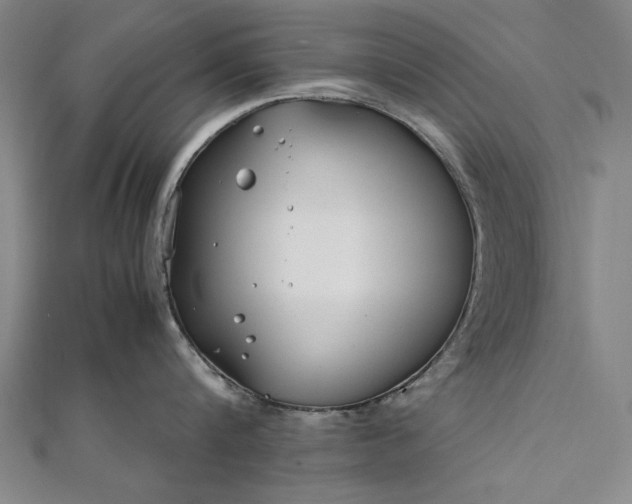 X0000112370816200908271317