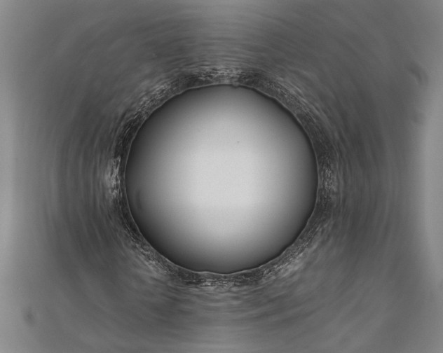 X0000112370818200908271316