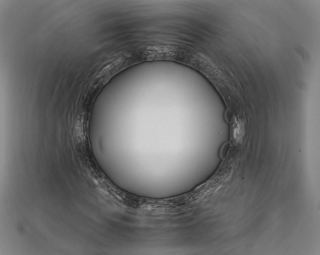 X0000112370819200908271316