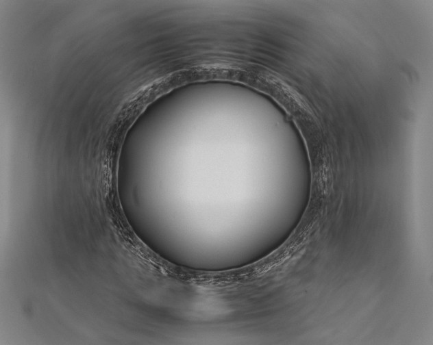 X0000112370821200908271316