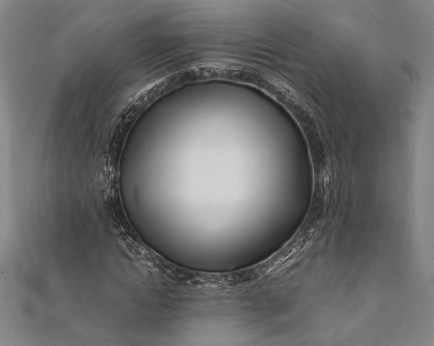 X0000112370822200908271316