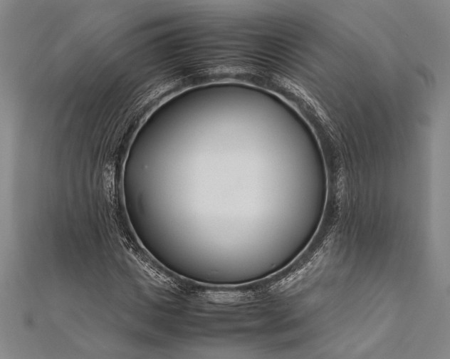 X0000112370825200908271316