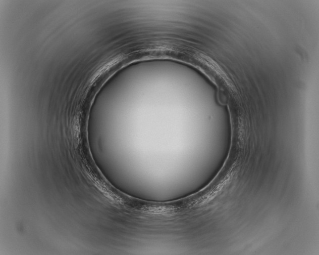 X0000112370826200908271316