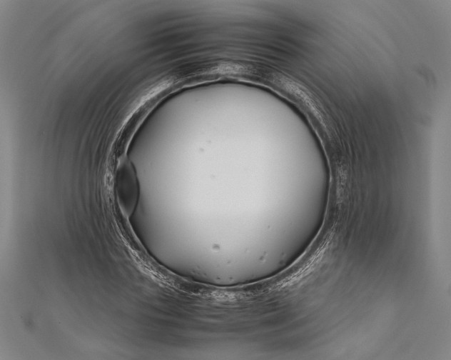 X0000112370827200908271316