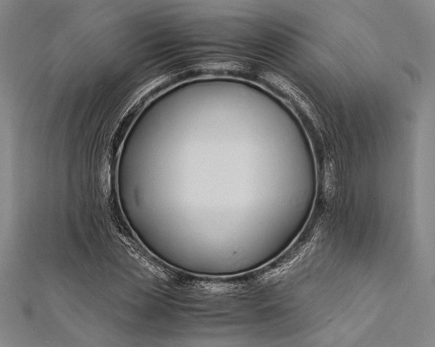 X0000112370829200908271316