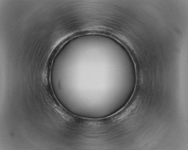 X0000112370830200908271316