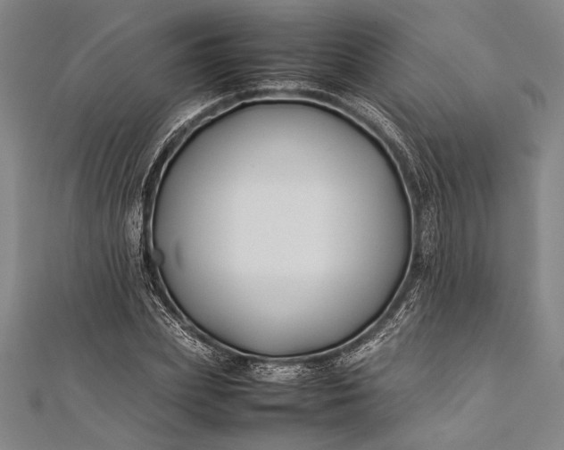 X0000112370831200908271316