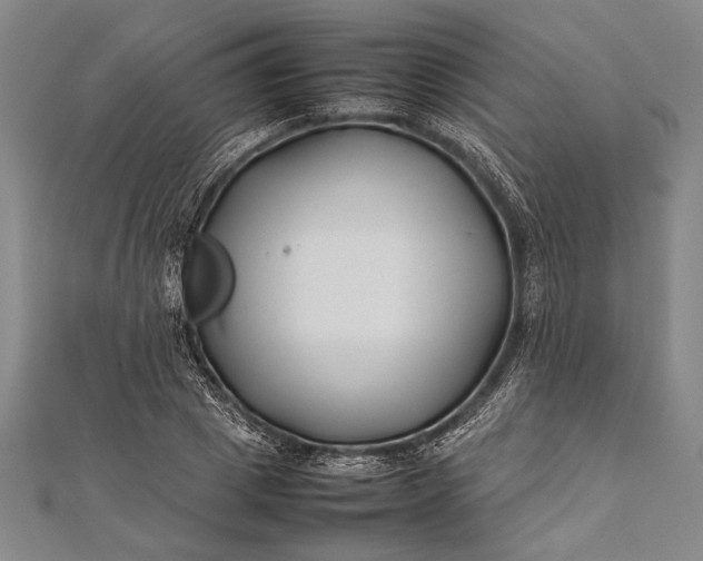 X0000112370833200908271316