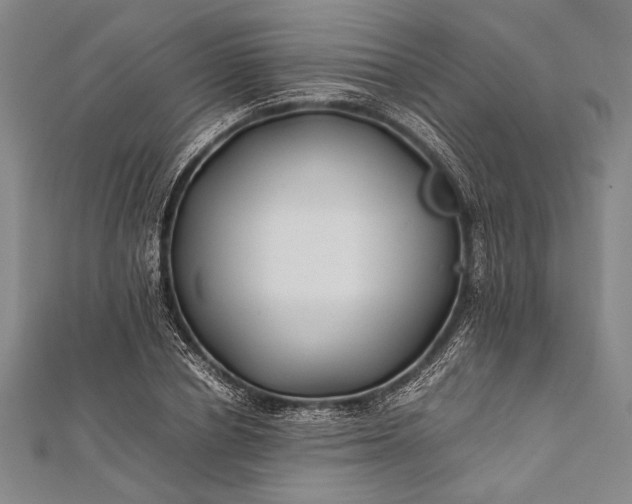 X0000112370834200908271316