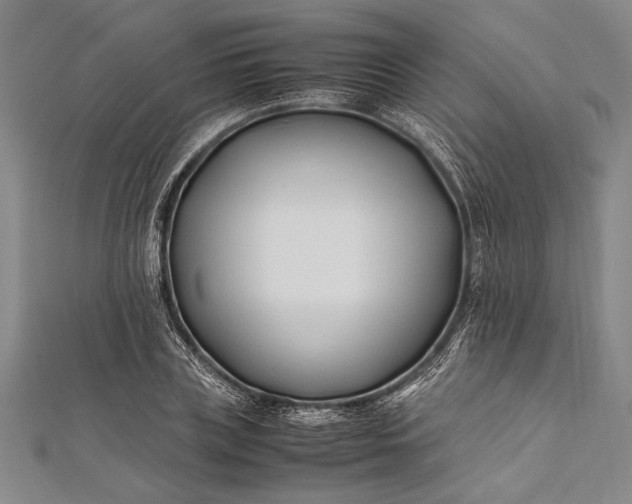 X0000112370835200908271316