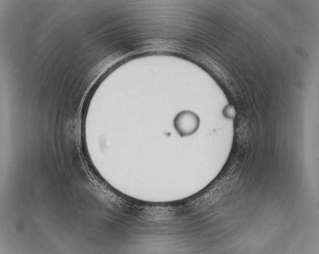 X0000112370836200908271316