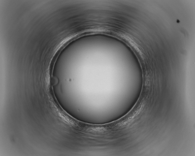 X0000112370837200908271316