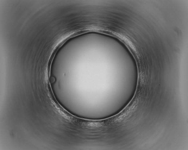 X0000112370839200908271316