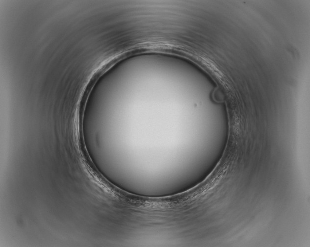 X0000112370840200908271316