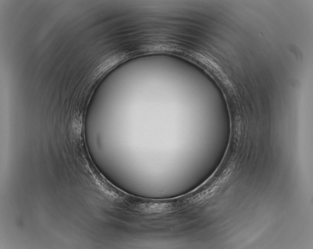 X0000112370841200908271316