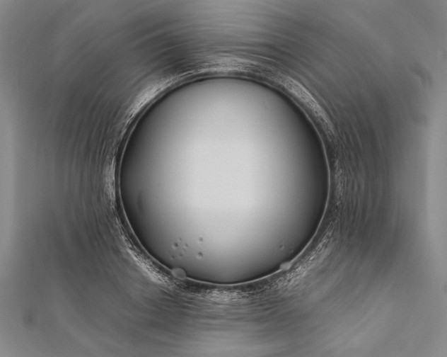 X0000112370842200908271316