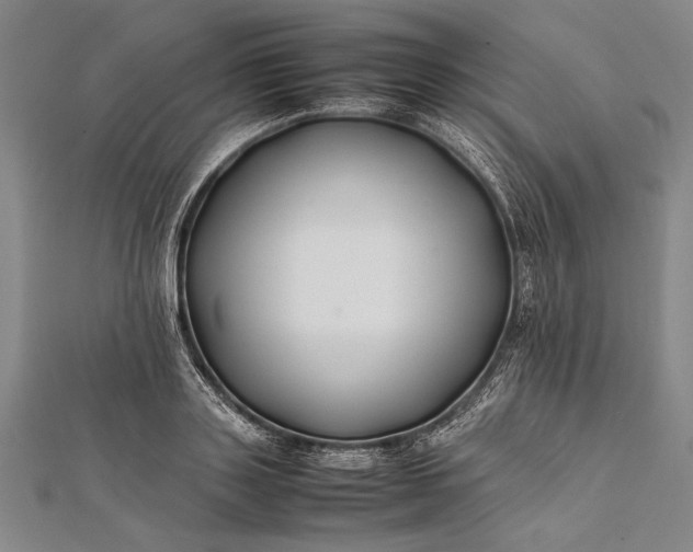 X0000112370843200908271316