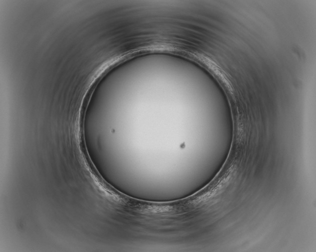 X0000112370845200908271316