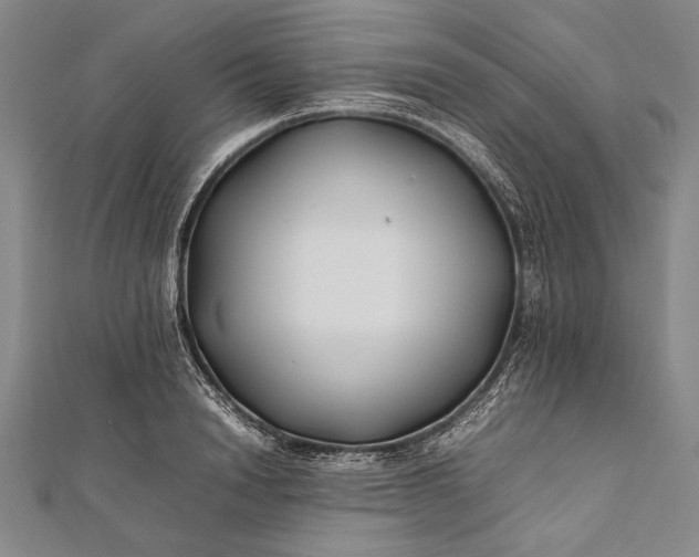 X0000112370846200908271316