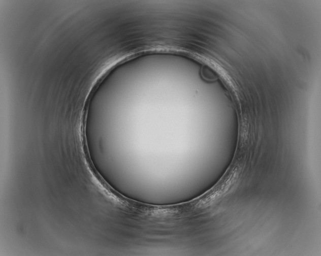 X0000112370847200908271316