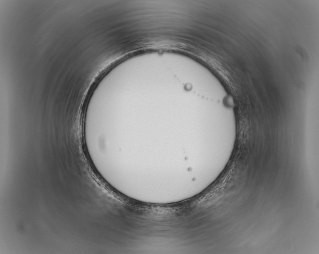 X0000112370848200908271316