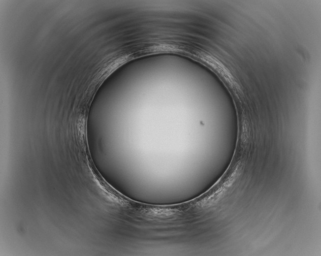 X0000112370849200908271316