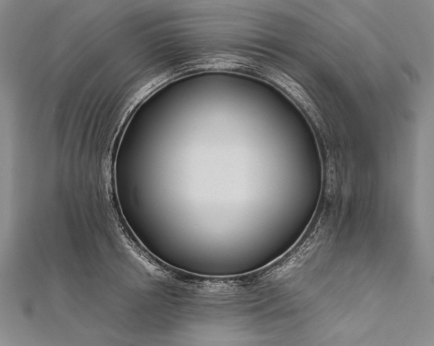 X0000112370850200908271317