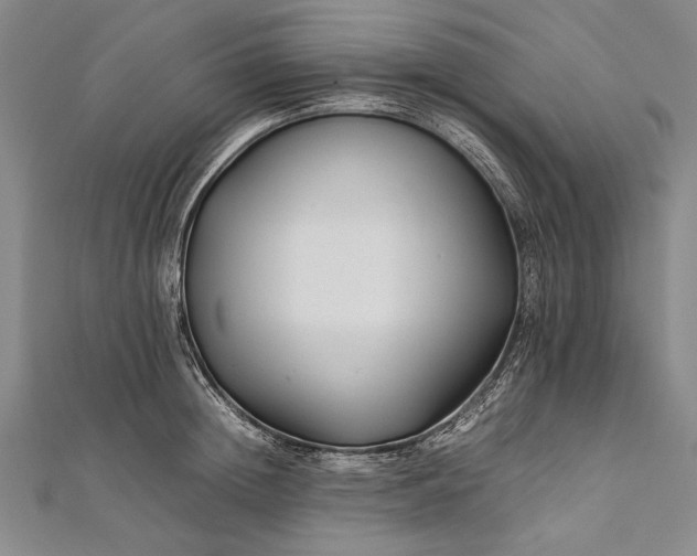 X0000112370852200908271317