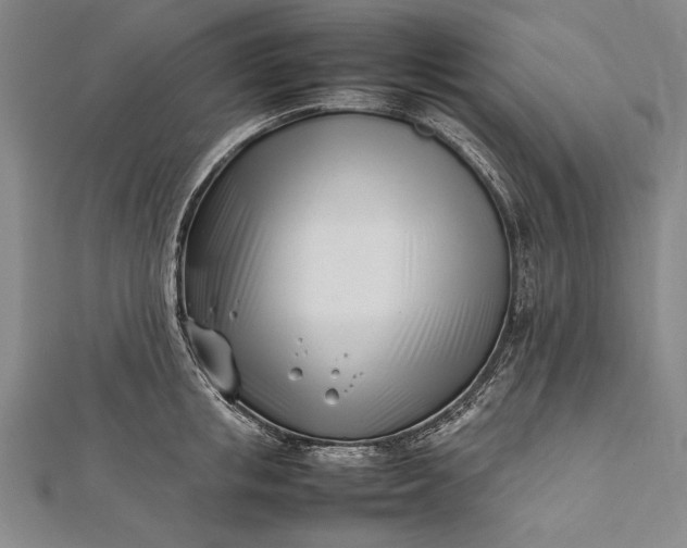 X0000112370853200908271317